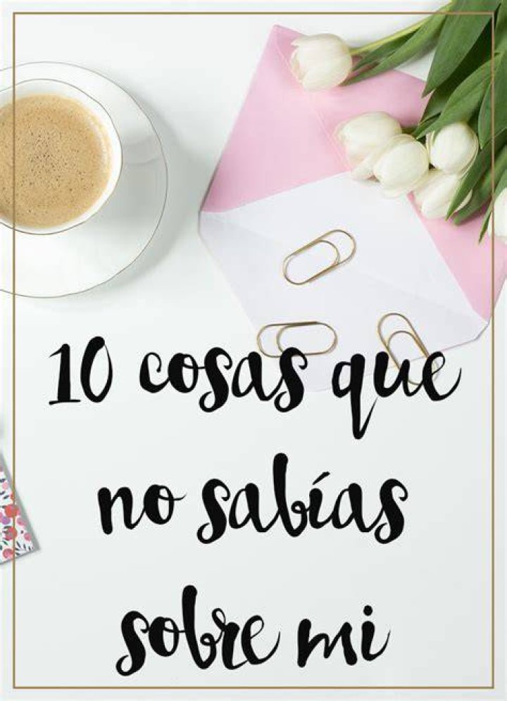 10 cosas que no sab&iacute;as sobre los delfines Mundomar BenidormMundomar