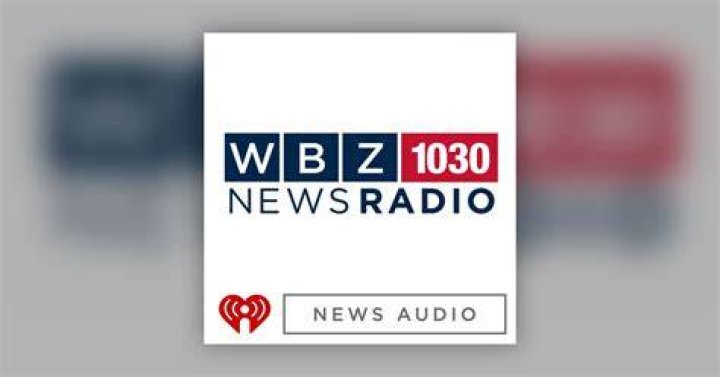 10YearOld Helps WBZ's Todd Gutner With Weather Forecast CBS Boston