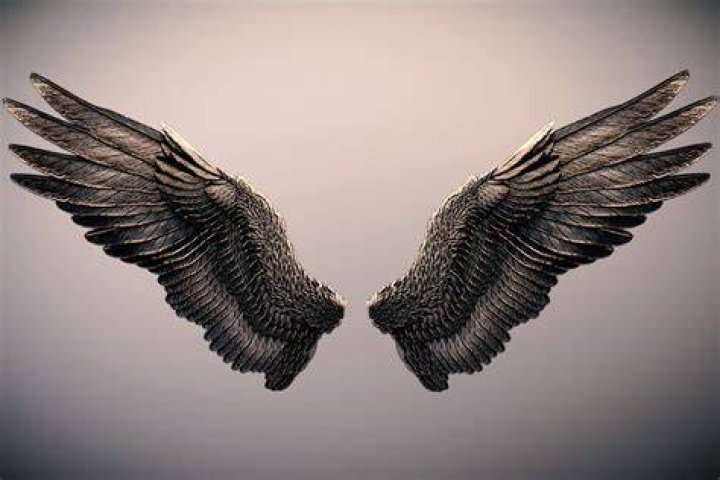 3D model Dark Angel Wings VR / AR / lowpoly CGTrader
