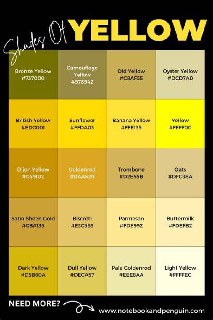 A Comprehensive Guide To The Black And Yellows