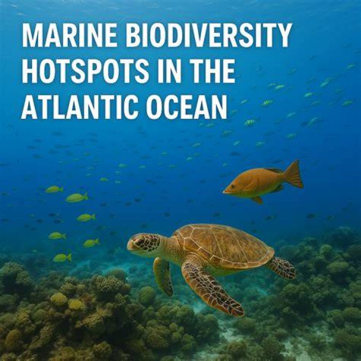 A Deep Dive Into Marine Biodiversity