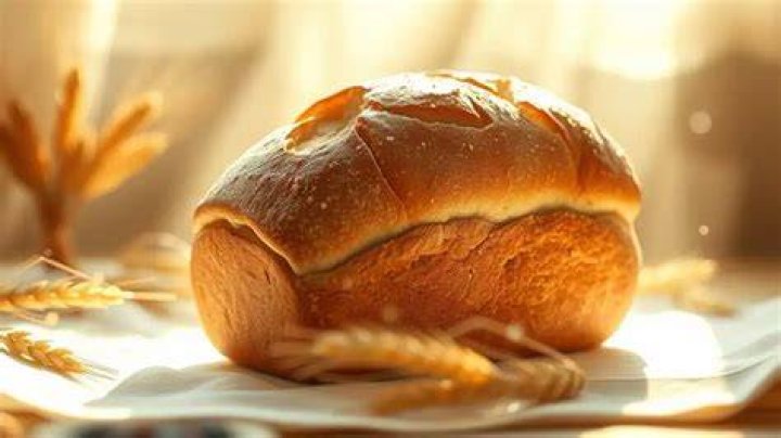 A Journey Of Nourishment, Community, And Meaning
