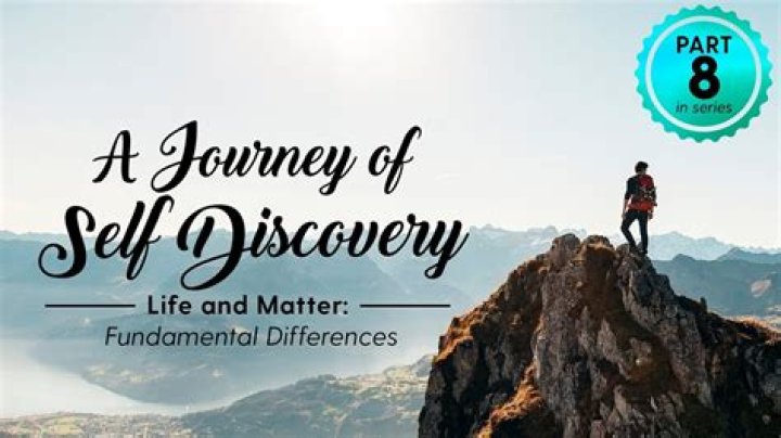 A Journey Of Transformation And Self-Discovery