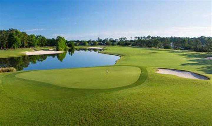 A Rising Star In Golf