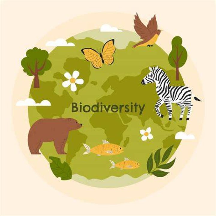 A World Of Biodiversity And Ecological Wonders