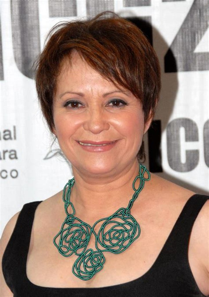 Adriana Barraza Bio, Wiki, Age, Birthday, Height, Family, Husband