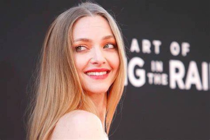 Amanda Seyfried y el acoso que sufri&oacute; tras Chicas pesadas