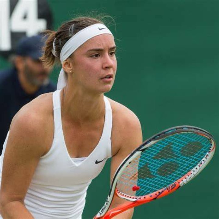 Anhelina Kalinina Height, Weight, Age, Boyfriend, Facts, Biography