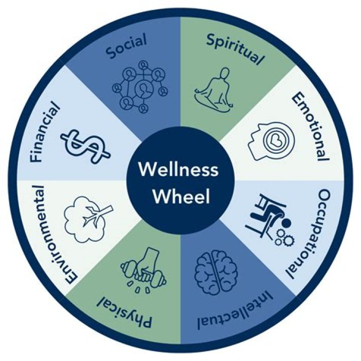 Backyard Breaks For Enhanced Well-being
