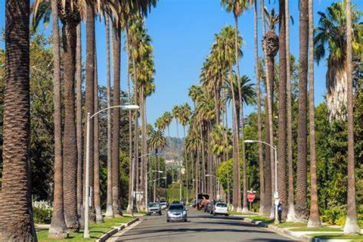 BEVERLY HILLS, LOS ANGELES, CALIFORNIA, USA DECEMBER 16 CanadianAmerican actress and singer