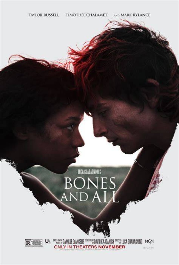 Bones and All Is Queerer Than You Think