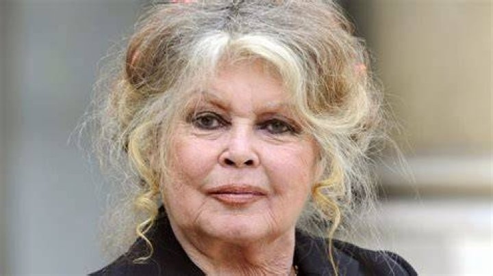Brigitte Bardot's best summer dresses in 15 vintage photos Brigitte