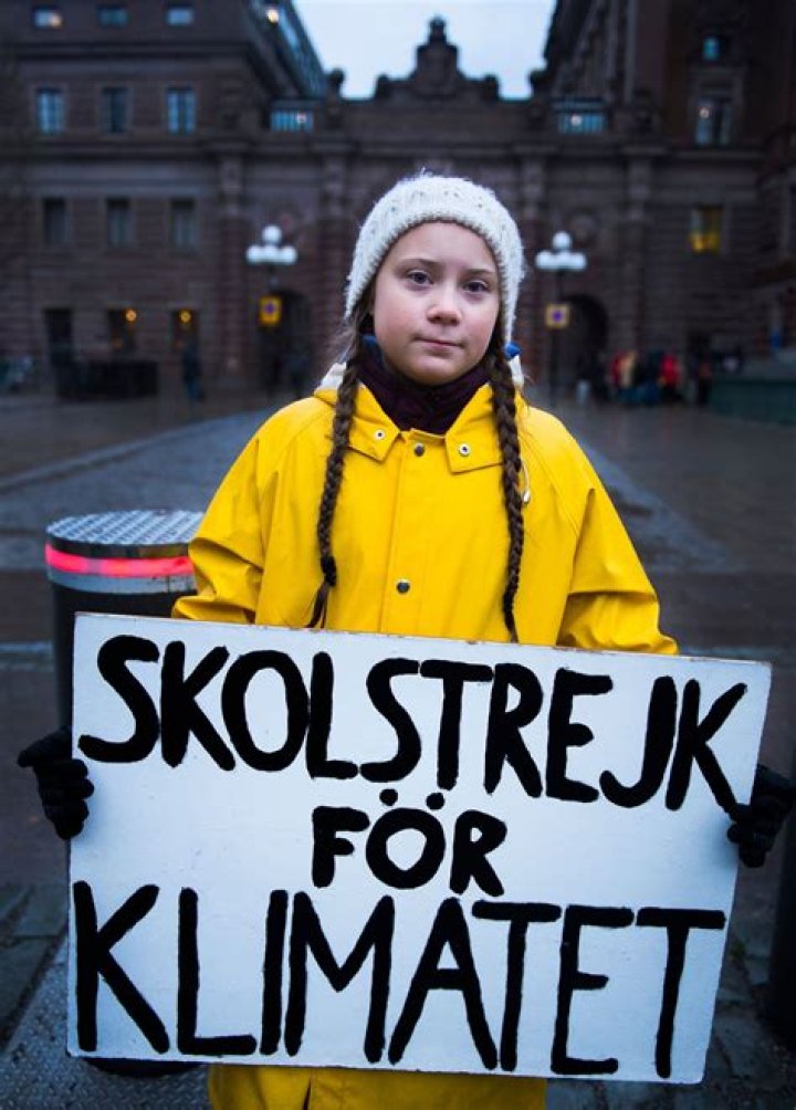 Climate change activist Greta Thunberg targeted by online trolls