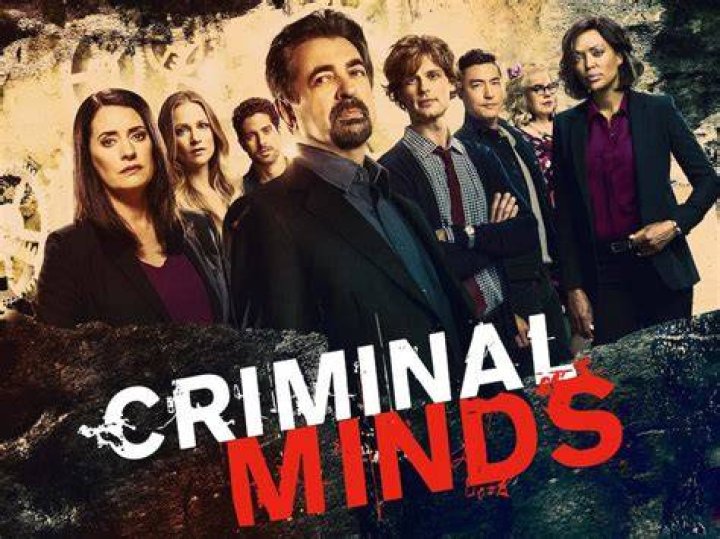 Criminal Minds 10 Best Profilers In The BAU, Ranked