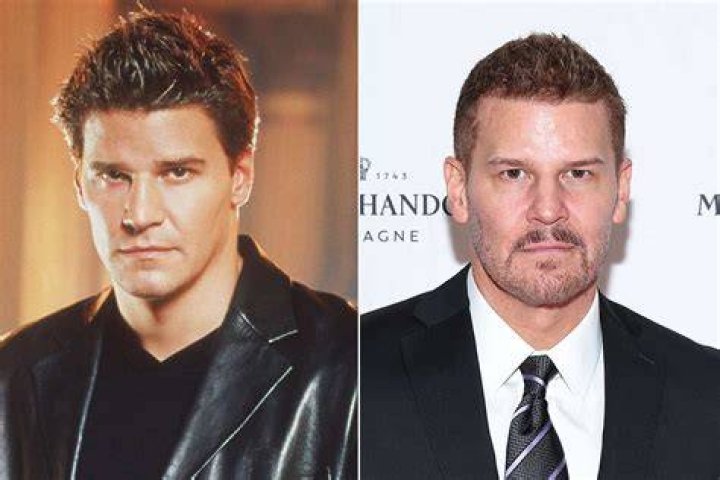 David Boreanaz How He Ended A Sexual Harassment Suit