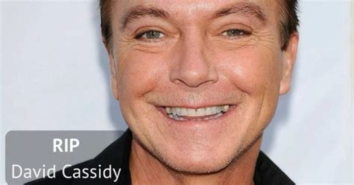 David Cassidy Dead &lsquo;Partridge Family&rsquo; Actor & Pop Idol Singer Was 67