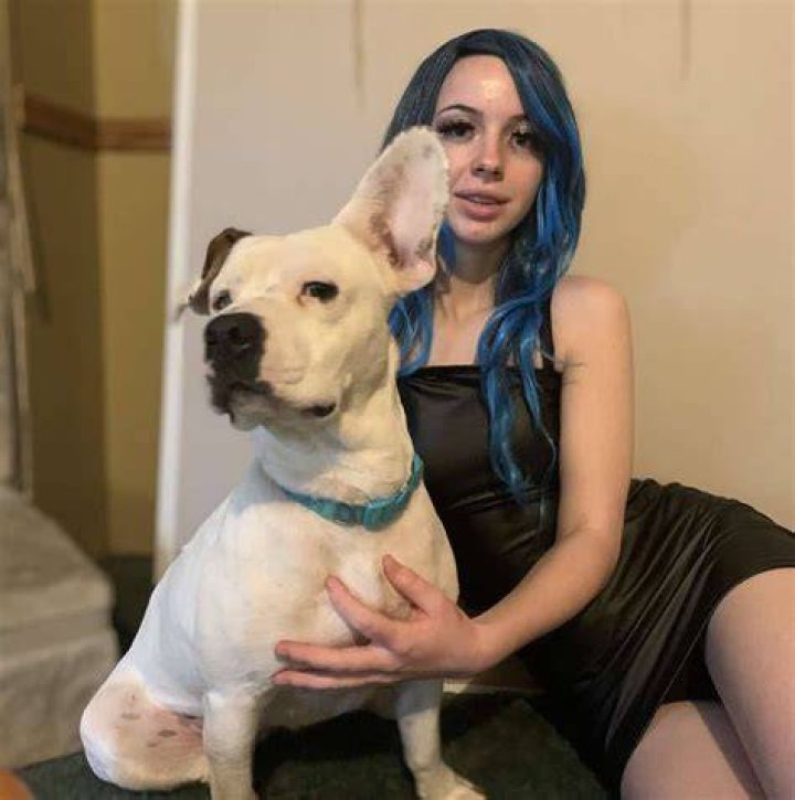 Denise Frazier Dog Video Distasteful, Disgusting, & Nauseating