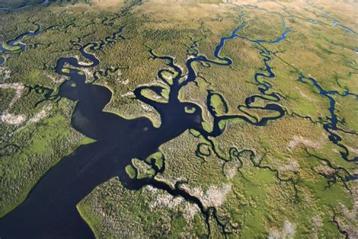 Discover The Enchanting World Of Florida State Parks: Unveiling Nature's Wonders