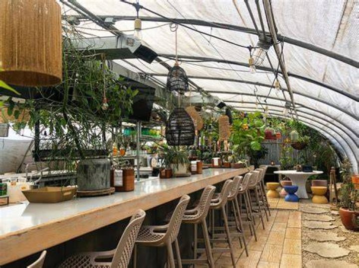 Discover The Enchanting World Of Greenhouse Bar Photos