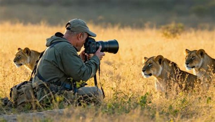 Discover The World Of Nature Through Pamula Rios's Lens: Unveil Wildlife's Secrets