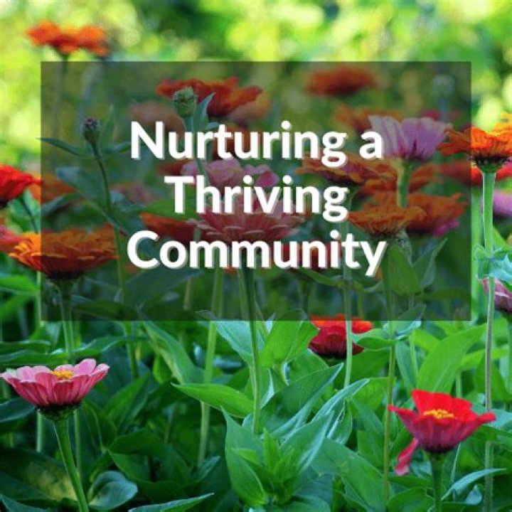 Discoveries And Insights For A Thriving Community