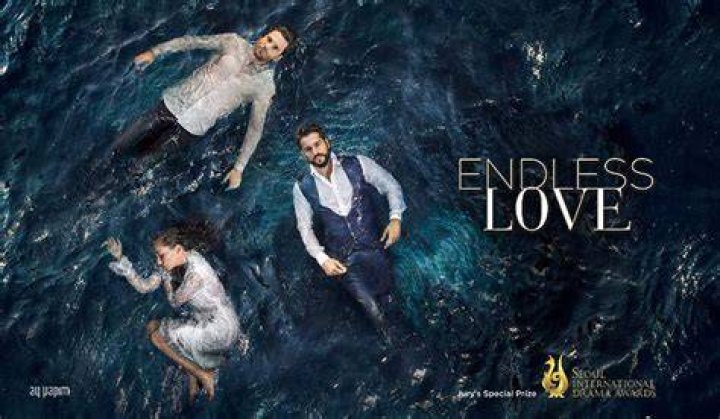Endless Love (TV Series 20152017) Posters &mdash; The Movie Database (TMDB)
