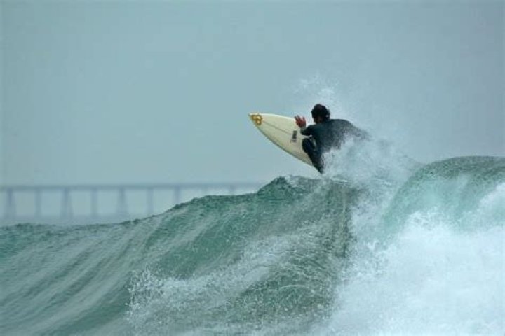 From Surfing Champion To Environmental Advocate