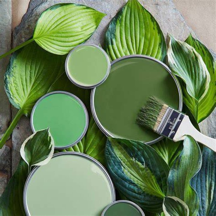 Green Paint Colors, Paint Color Schemes, Interior Paint Colors, Paint