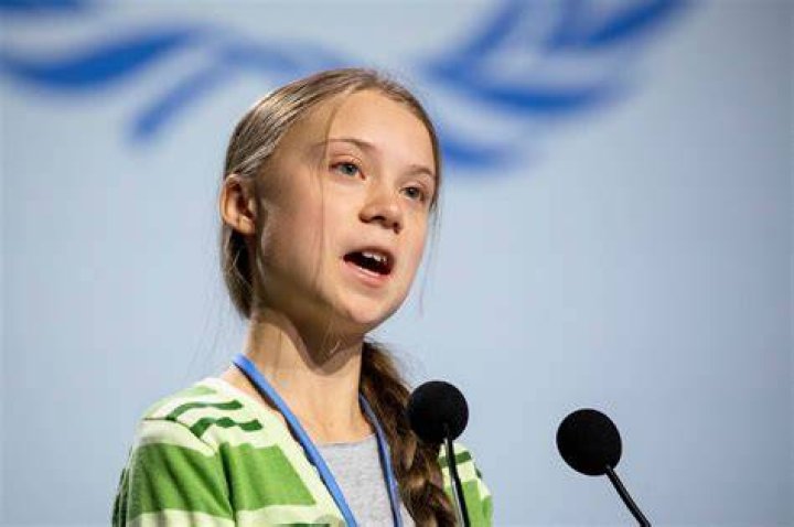 Greta Thunberg Net Worth & Bio in 2021 Net worth, Greta thunberg, Worth