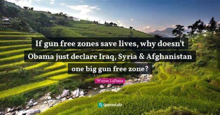 Gun Free Zones save lives Imgflip