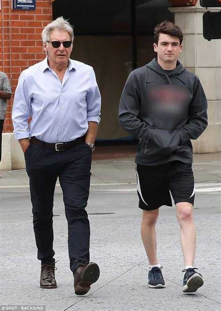 Harrison Ford Son / Domestic box office grosses of his films total over