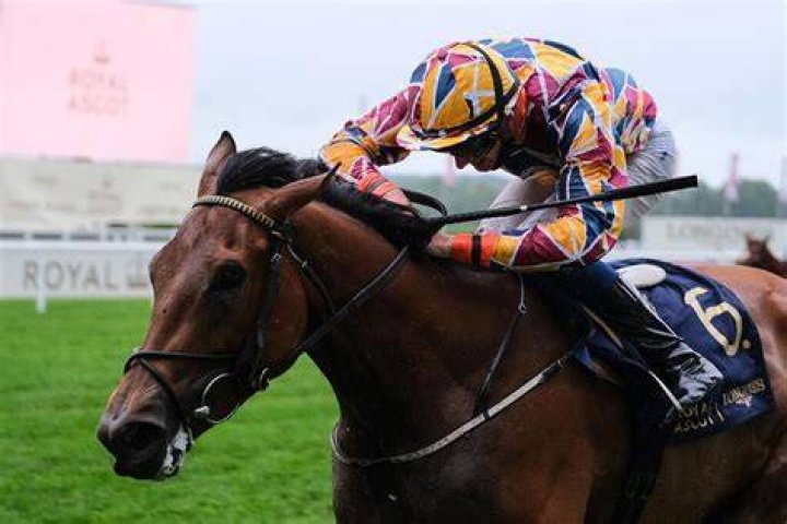 How Much Does a Racehorse Cost? • Horsezz