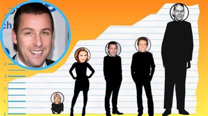 How Tall Is Adam Sandler? Height Comparison! YouTube