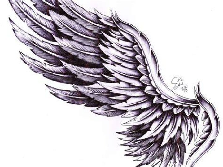 How To Draw Wing Tattoo Design Draw Tattoo Art Drawing