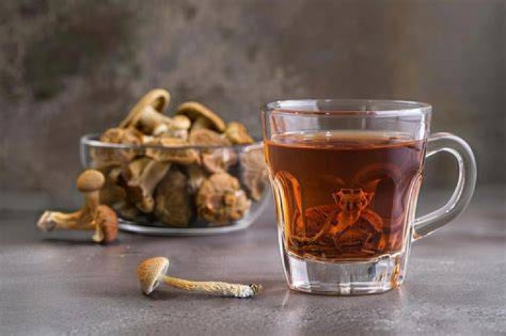 How to Make Shroom Tea The Ultimate Mushroom Tea Guide DoubleBlind
