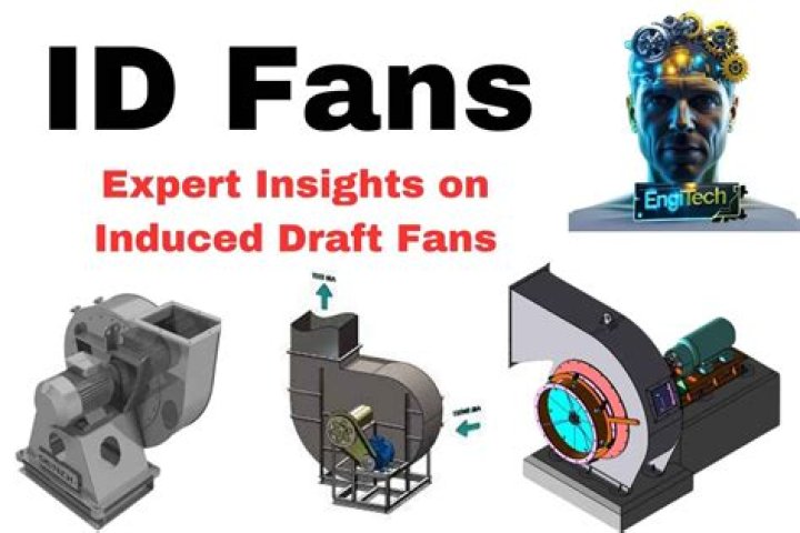 Insights And Discoveries For Every Fan