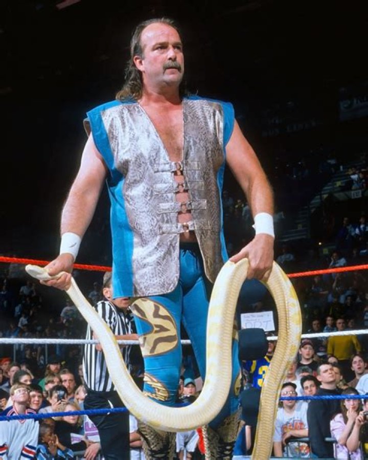 Jake The Snake's Wrestling Odyssey