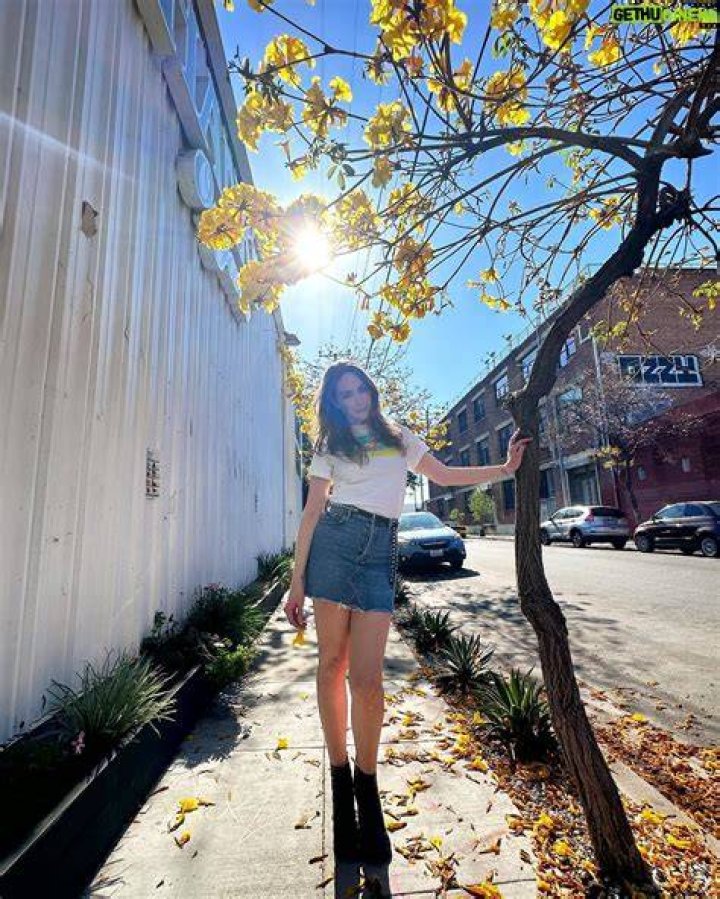Jamie Clayton [Profiles] &bull; Instagram, Twitter, TikTok Foller