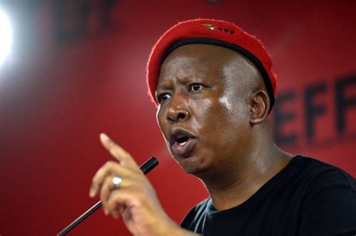 Julius Malema DendiPutri
