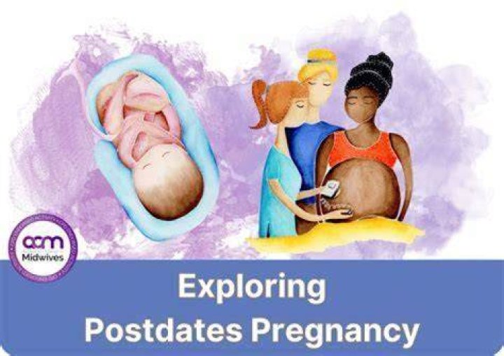 Katie Pavlich's Pregnancy Journey Explored