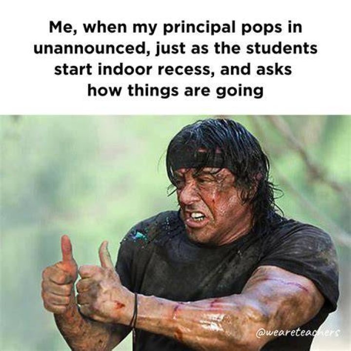 Memes Humor, Memes Quotes, Funny Quotes, Jokes, Stupid Funny Memes