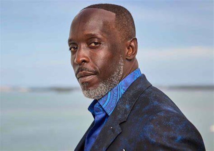Michael K. Williams See Photos Of &lsquo;The Wire&rsquo; Actor Hollywood Life