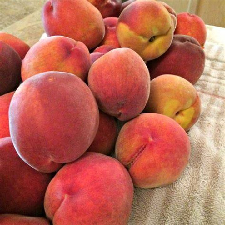 Millions of Peaches, Peaches for Me, Millions of Peaches&hellip;. ChaChing