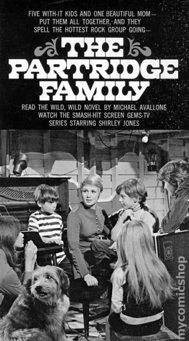 Partridge Family PB (19701973 TV Series Novel) comic books Volume 13