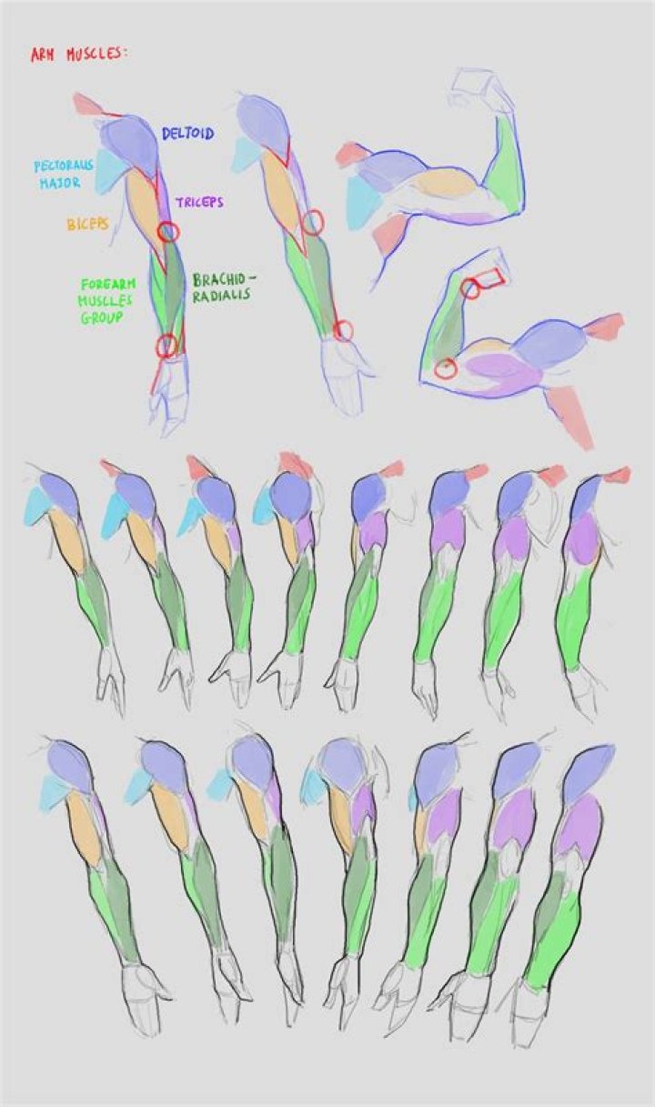 Pin on Anatomy fucking references ffs