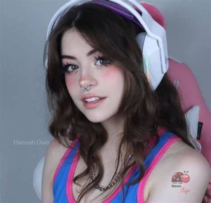 Pin on hannah owo icons