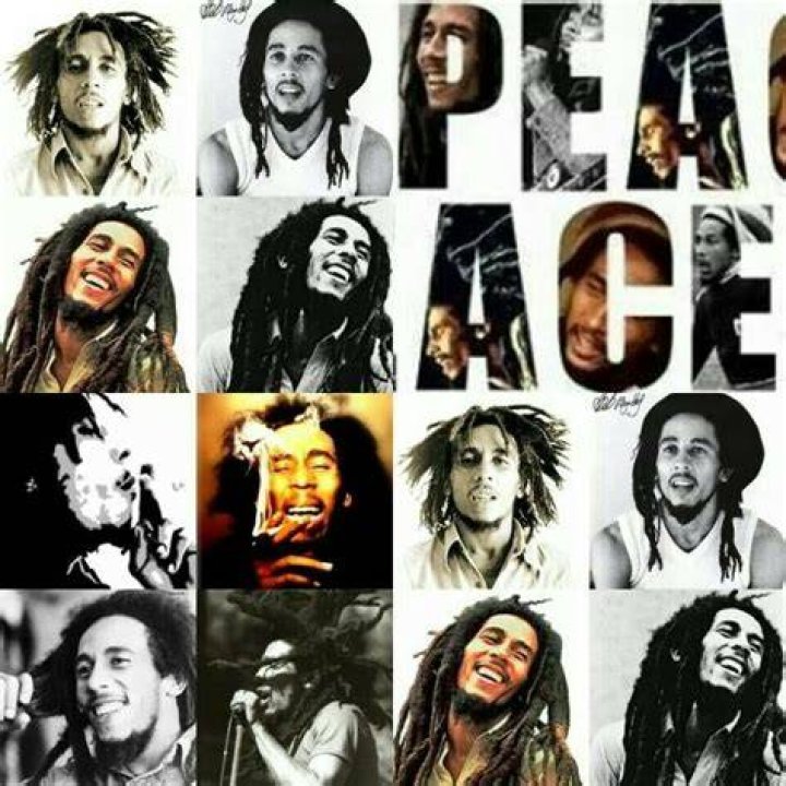 Pin on Marley Magic...