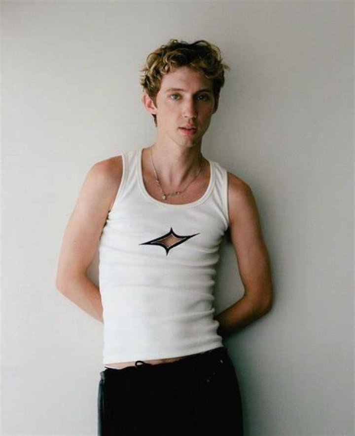 Pin on Troye sivan