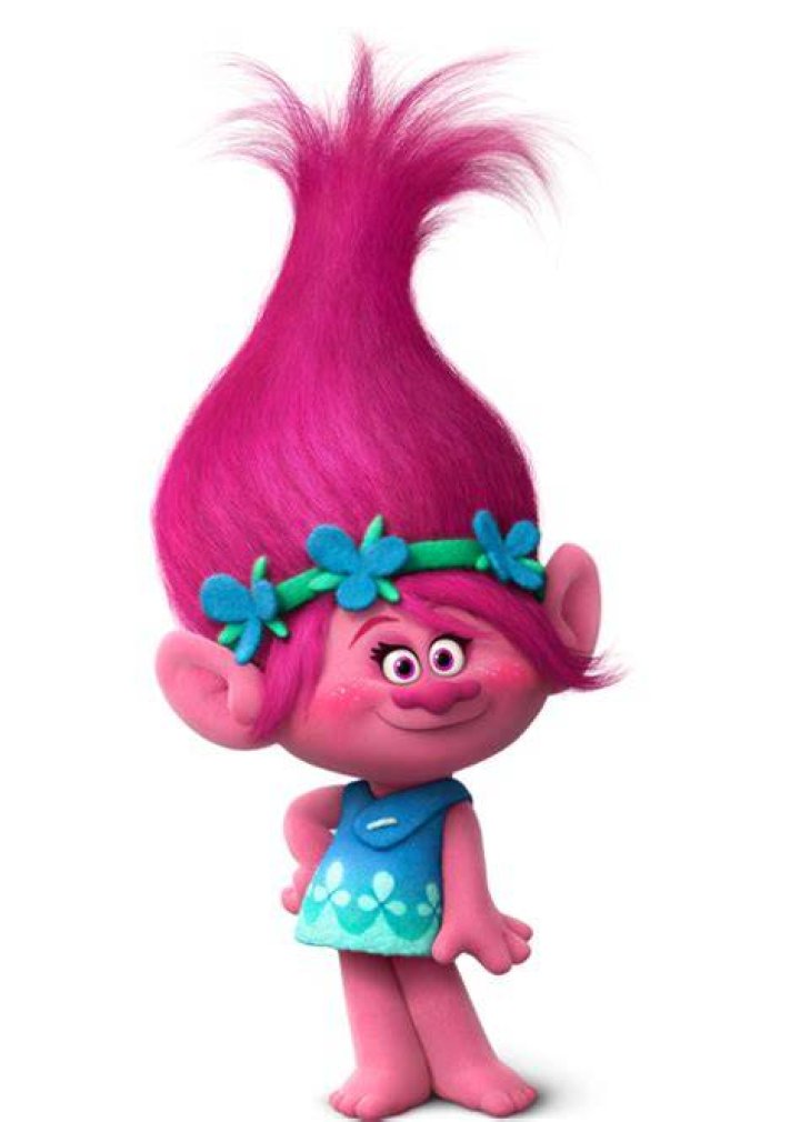 Queen Poppy Trolls (film) Wikia Fandom Poppy and branch, Poppy images, Poppies