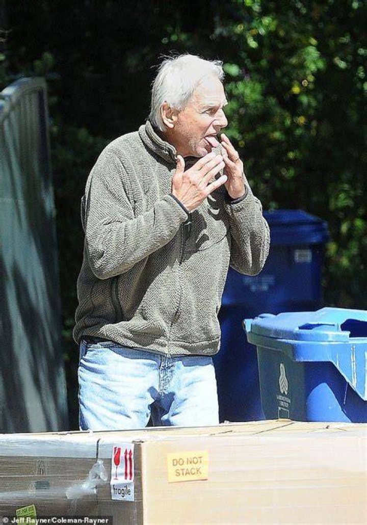 Retired Mark Harmon walks his dog in first sighting since leaving NCIS • OK Daily